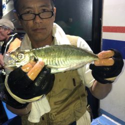ヤザワ渡船 釣果