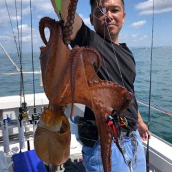 ビッグファイター 釣果