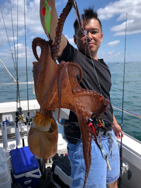 ビッグファイター 釣果