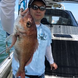 遊漁船メテオ 釣果