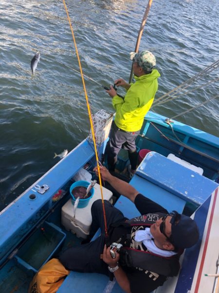 ヤザワ渡船 釣果