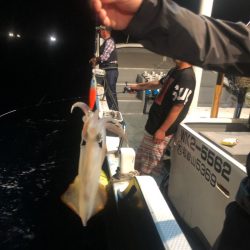 ＴＡＲＯＭＡＲＵ 釣果