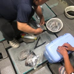 ＴＡＲＯＭＡＲＵ 釣果