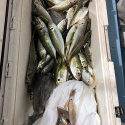 第二八坂丸 釣果