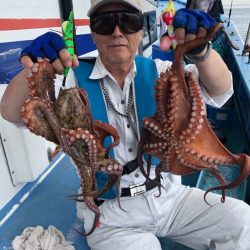 ヤザワ渡船 釣果