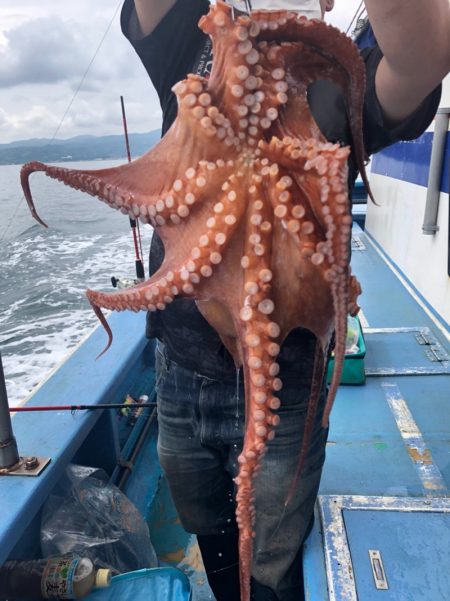 ヤザワ渡船 釣果