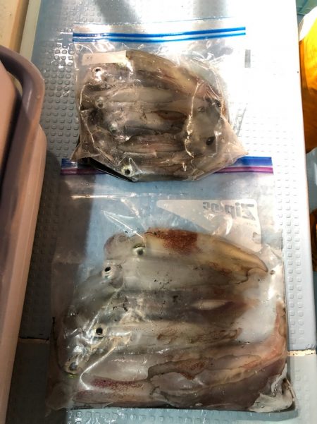 第二八坂丸 釣果