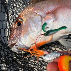 末広丸(熊本) 釣果