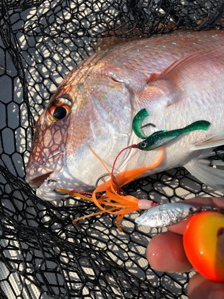 末広丸(熊本) 釣果