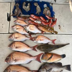 末広丸(熊本) 釣果