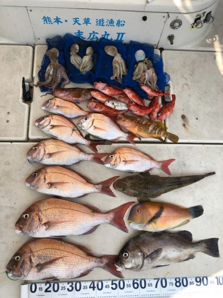 末広丸(熊本) 釣果