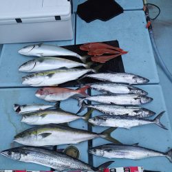 清和丸 釣果