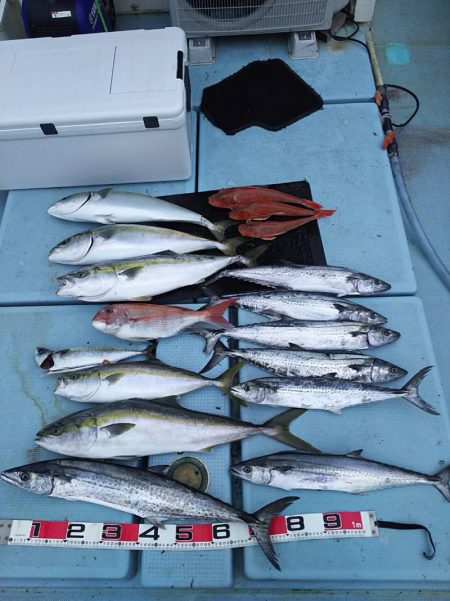 清和丸 釣果