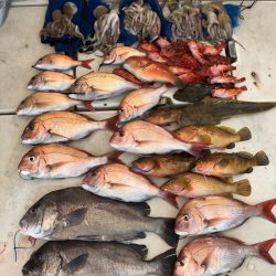 末広丸(熊本) 釣果