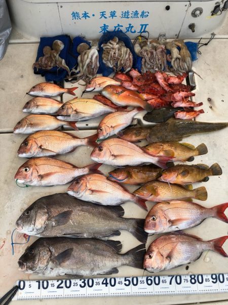 末広丸(熊本) 釣果
