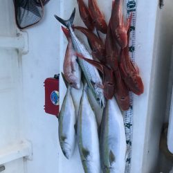 Monster Rush! 釣果