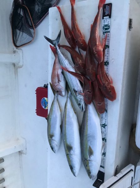 Monster Rush! 釣果