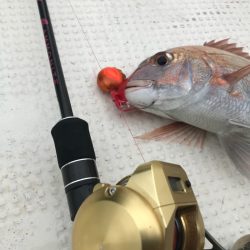 Monster Rush! 釣果