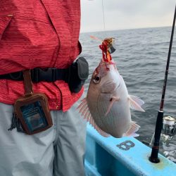 みやけ丸 釣果