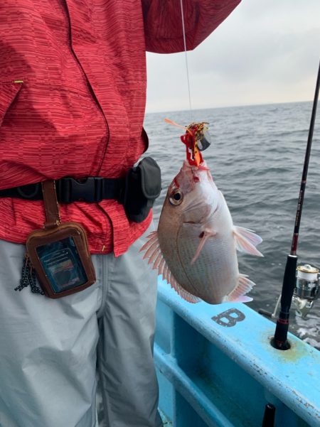 みやけ丸 釣果