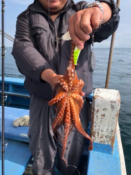 ヤザワ渡船 釣果