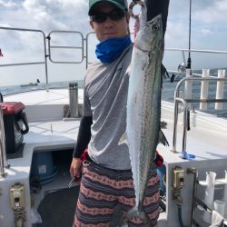 ビッグファイター 釣果