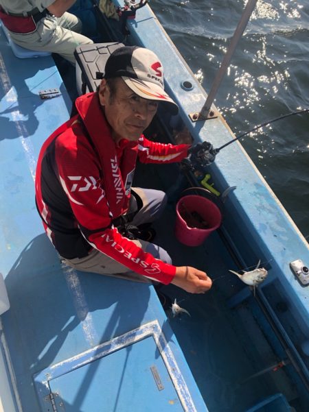 ヤザワ渡船 釣果