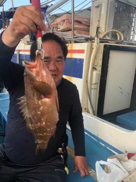 ヤザワ渡船 釣果