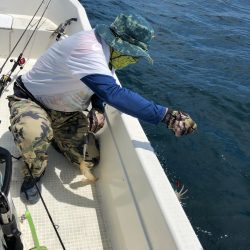 「LaGooN」蒼陽丸 日和号　 釣果