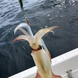 「LaGooN」蒼陽丸 日和号　 釣果