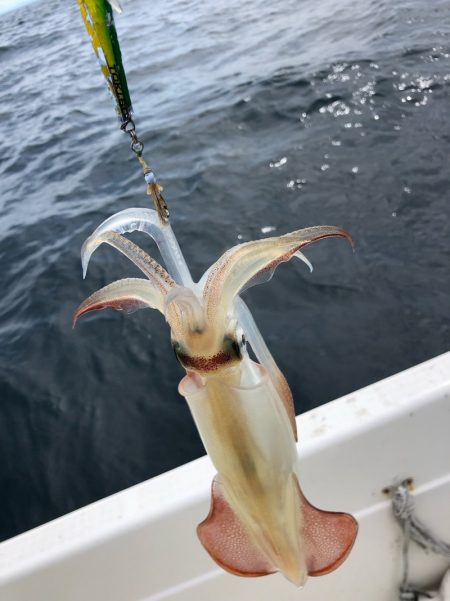 「LaGooN」蒼陽丸 日和号　 釣果