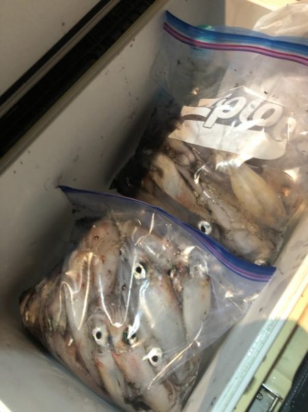 ＴＡＲＯＭＡＲＵ 釣果