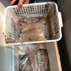 ＴＡＲＯＭＡＲＵ 釣果