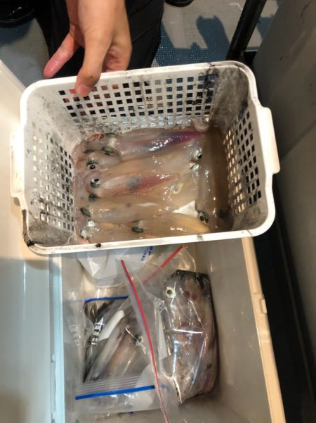 ＴＡＲＯＭＡＲＵ 釣果