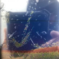 「LaGooN」蒼陽丸 日和号　 釣果