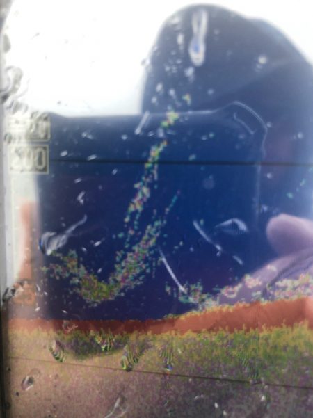 「LaGooN」蒼陽丸 日和号　 釣果