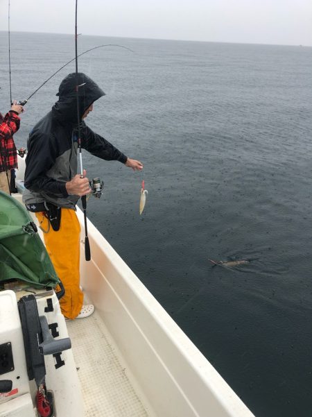 「LaGooN」蒼陽丸 日和号　 釣果