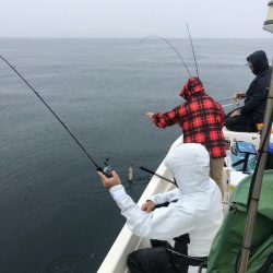 「LaGooN」蒼陽丸 日和号　 釣果
