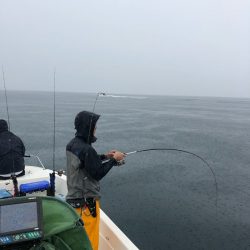 「LaGooN」蒼陽丸 日和号　 釣果