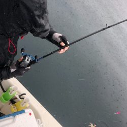 「LaGooN」蒼陽丸 日和号　 釣果