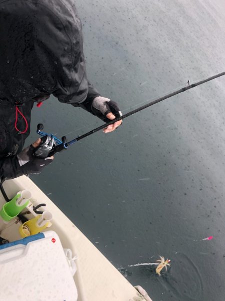 「LaGooN」蒼陽丸 日和号　 釣果