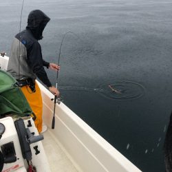 「LaGooN」蒼陽丸 日和号　 釣果