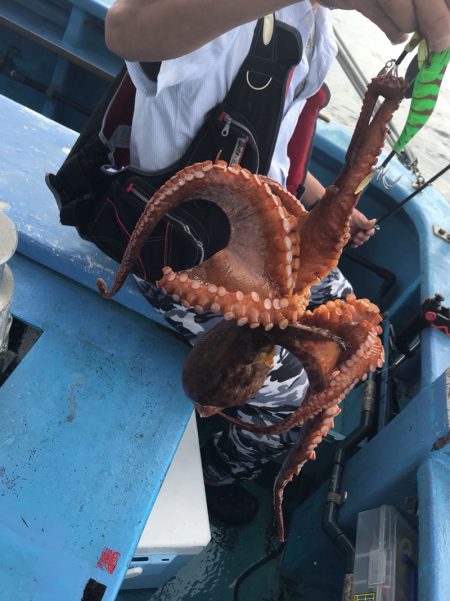 ヤザワ渡船 釣果