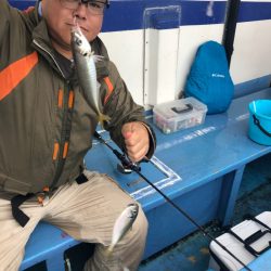 ヤザワ渡船 釣果