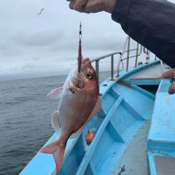 みやけ丸 釣果