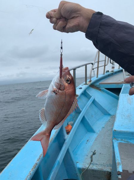 みやけ丸 釣果