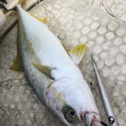 「LaGooN」蒼陽丸 日和号 釣果