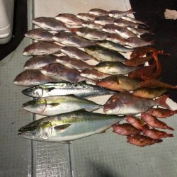 エムズジャーク(M’s JERK) 釣果