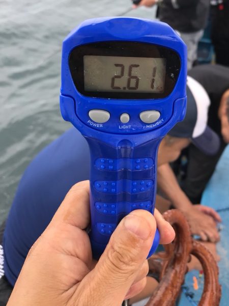 ヤザワ渡船 釣果