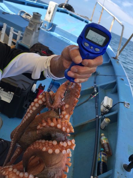ヤザワ渡船 釣果